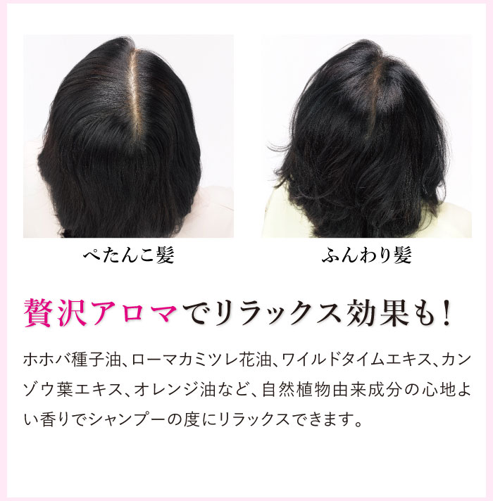 楽天市場 Web オールインワンシャンプー 300ml 約2ヶ月分 リンスインシャンプー エイジングケア スカルプ 地肌ケア アプロス