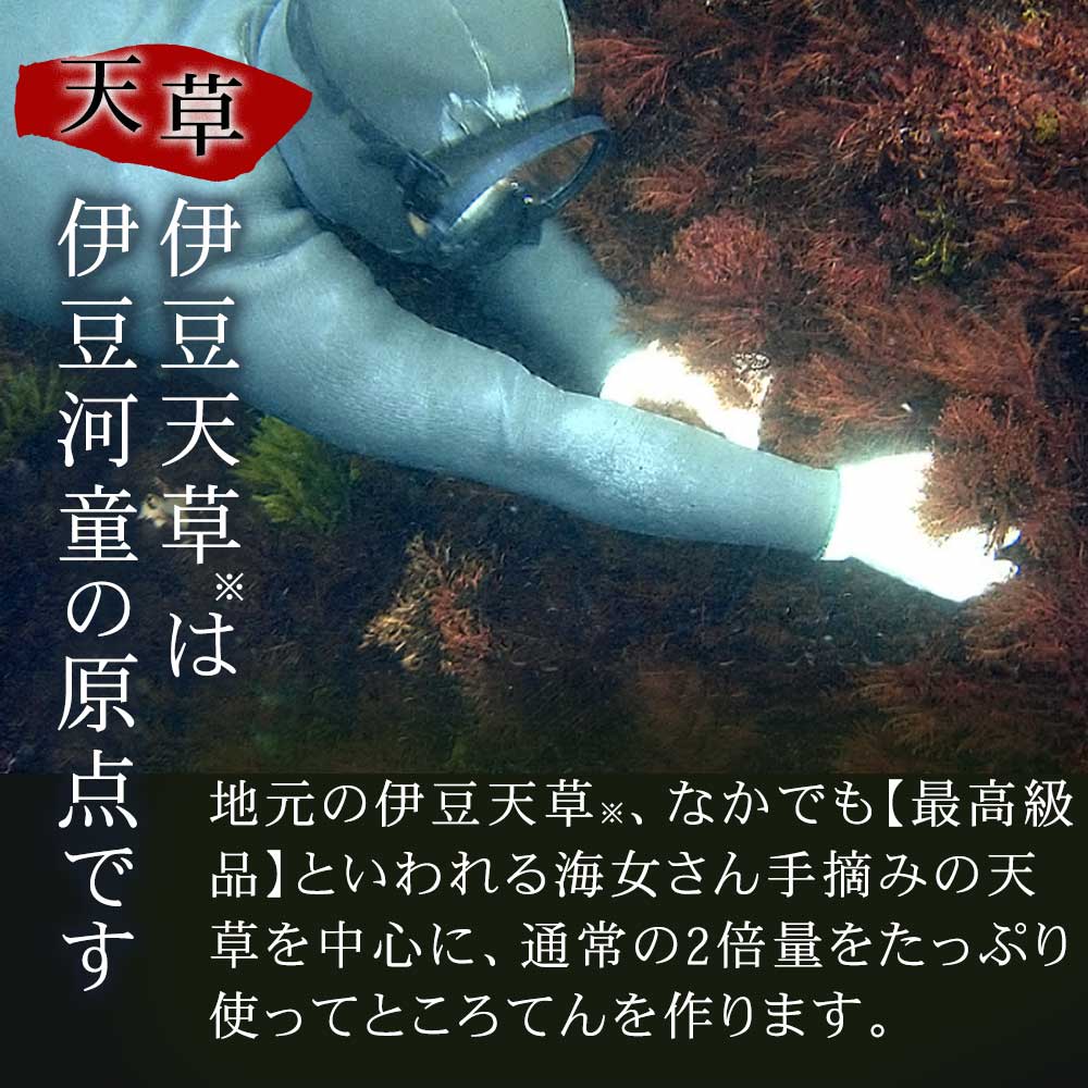 本場伊豆のところてん
