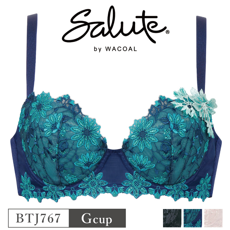 67%OFF!】 27%OFFワコール Wacoal サルート salute 67グループ 67g