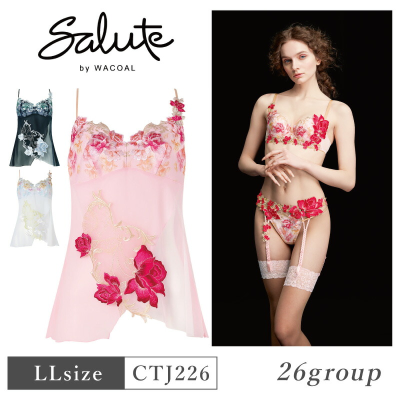 楽天市場】25%OFF ワコール Wacoal サルート salute 26グループ 26G