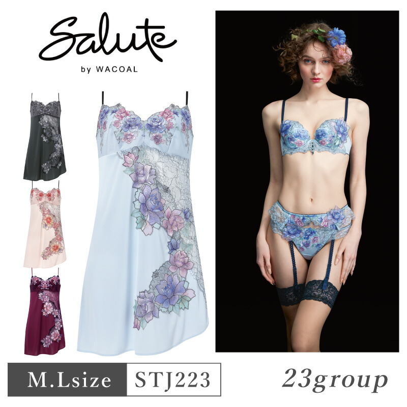 楽天市場】25%OFF ワコール Wacoal サルート salute 23グループ 23G  