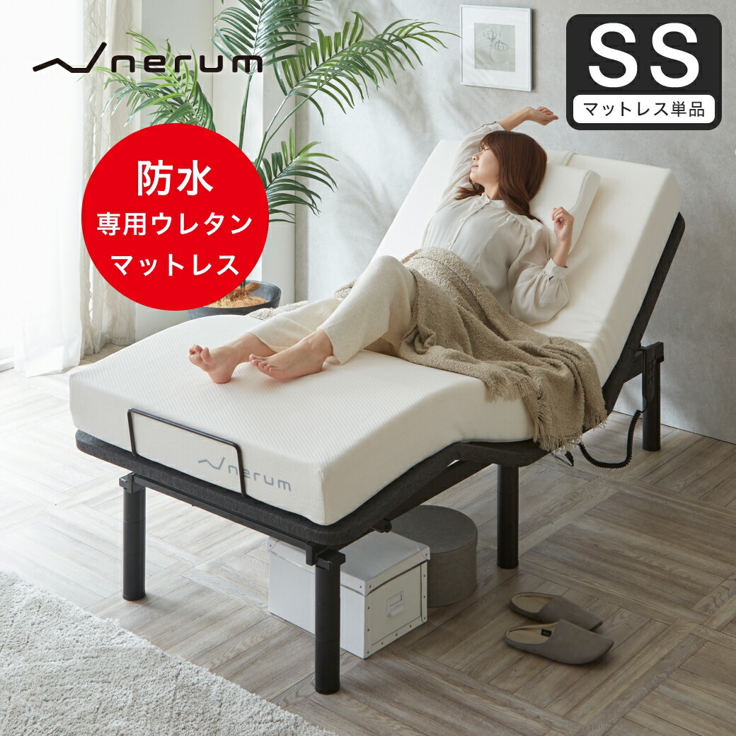 楽天市場】【ポイント10倍☆26日1:59まで！】 電動ベッド用防水