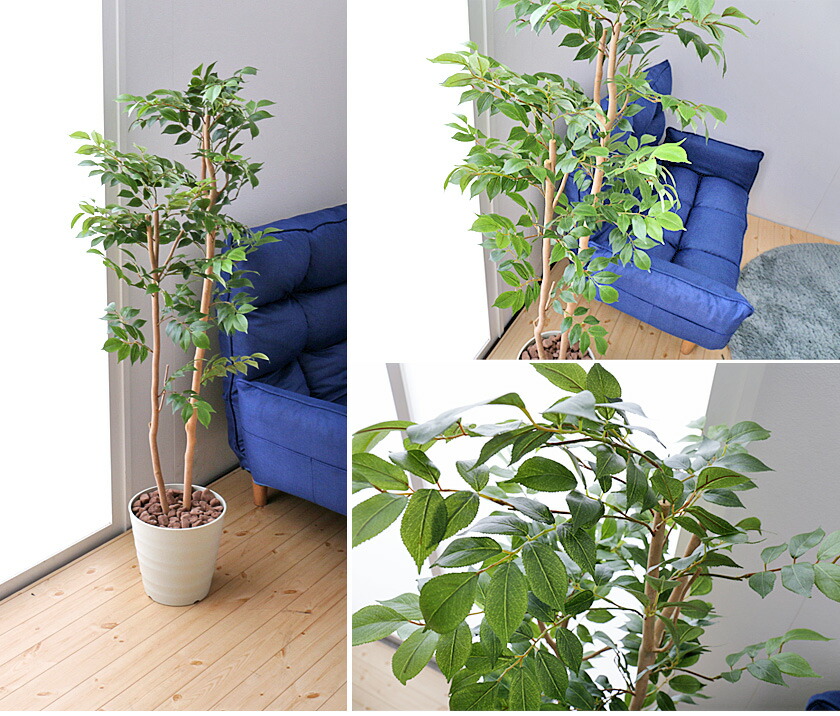 人工観葉植物 光触媒加工 フェイクグリーン 人工観葉植物 大型 観葉植物 クーポンで5 Off 6 22 マウンテンアッシュ1 3 造花 観葉植物 00 6 24 大型 光触媒加工 光触媒加工 マウンテンアッシュ1 3 フェイク 23 59 人工観葉植物 V Cat 消臭 抗菌 防汚 人工観葉植物 光触媒加工 フェイクグリーン 人工観葉植物 大型 観葉植物 クーポンで5 Off 6 22 マウンテンアッシュ1 3 造花 観葉植物 00 6 24 大型 光触媒加工 光触媒加工 マウンテンアッシュ1 3 フェイク 23 59 人工観葉植物 V Cat 消臭 抗菌 防汚