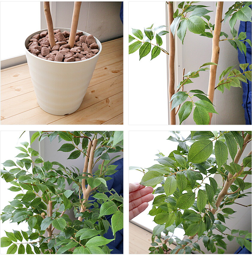 人工観葉植物 光触媒加工 フェイクグリーン 人工観葉植物 大型 観葉植物 クーポンで5 Off 6 22 マウンテンアッシュ1 3 造花 観葉植物 00 6 24 大型 光触媒加工 光触媒加工 マウンテンアッシュ1 3 フェイク 23 59 人工観葉植物 V Cat 消臭 抗菌 防汚 人工観葉植物 光触媒加工 フェイクグリーン 人工観葉植物 大型 観葉植物 クーポンで5 Off 6 22 マウンテンアッシュ1 3 造花 観葉植物 00 6 24 大型 光触媒加工 光触媒加工 マウンテンアッシュ1 3 フェイク 23 59 人工観葉植物 V Cat 消臭 抗菌 防汚