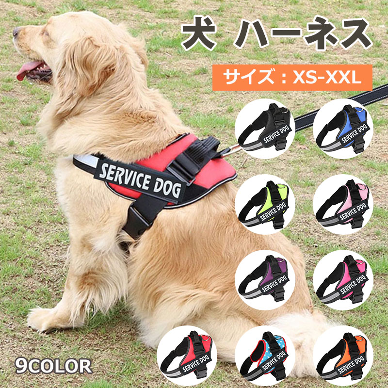 人気ブランド！Kisata リード 一体型 首輪 猫 犬  ハーネス  メッシュ c071_yahoo_02.jpg