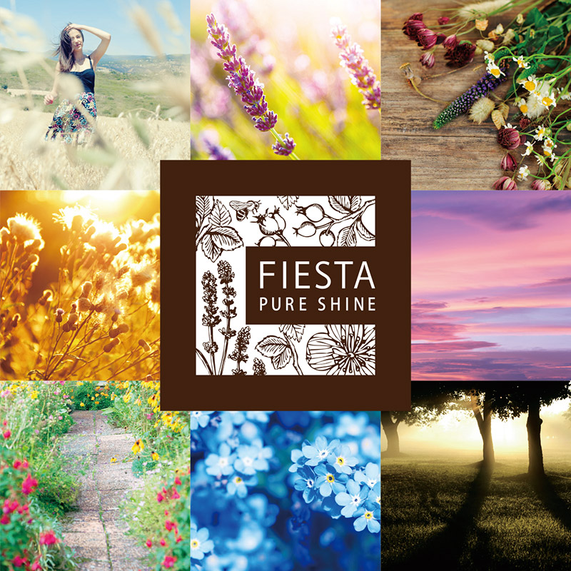 スーパーsale価格 送料無料 同梱不可 花王 フィエスタ ピュアシャイン リンスインシャンプー Fiesta Pure Shine 10l 業務用 大容量 指通り リラックス シトラスグリーンの香り Clinicalaspalmeras Com