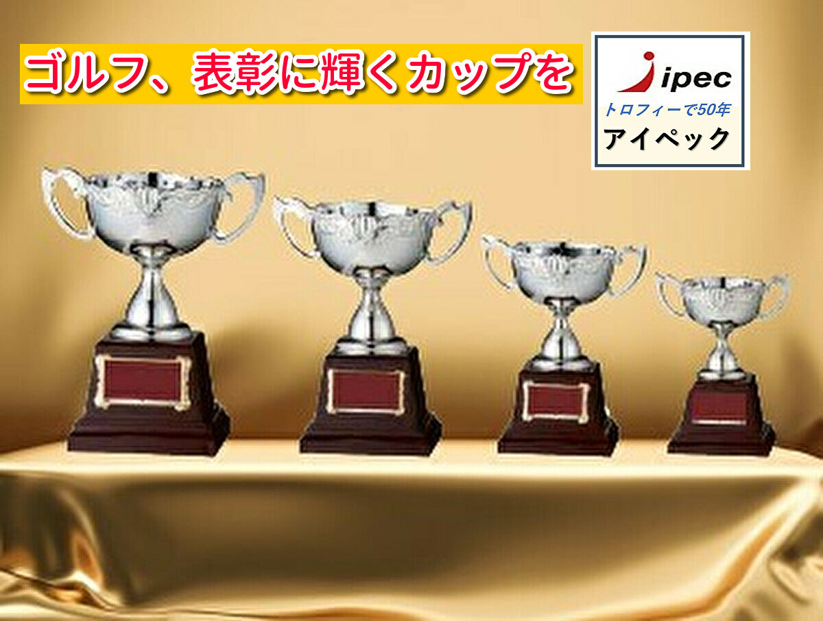 楽天市場 優勝カップ Fb 111a Aサイズ カップ 優勝トロフィー 優勝メダル 優勝 カップ 文字彫刻代金無料 野球 音楽 バスケットボール サッカー バドミントン バレーボール ゴルフ 剣道 柔道 アイペック楽天市場店