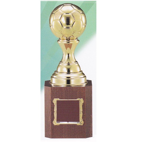 トロフィー サッカー　ブロンズ　VC-4548 【文字代無料】 高さ205mm 優勝 カップ 優勝トロフィー サッカーボール