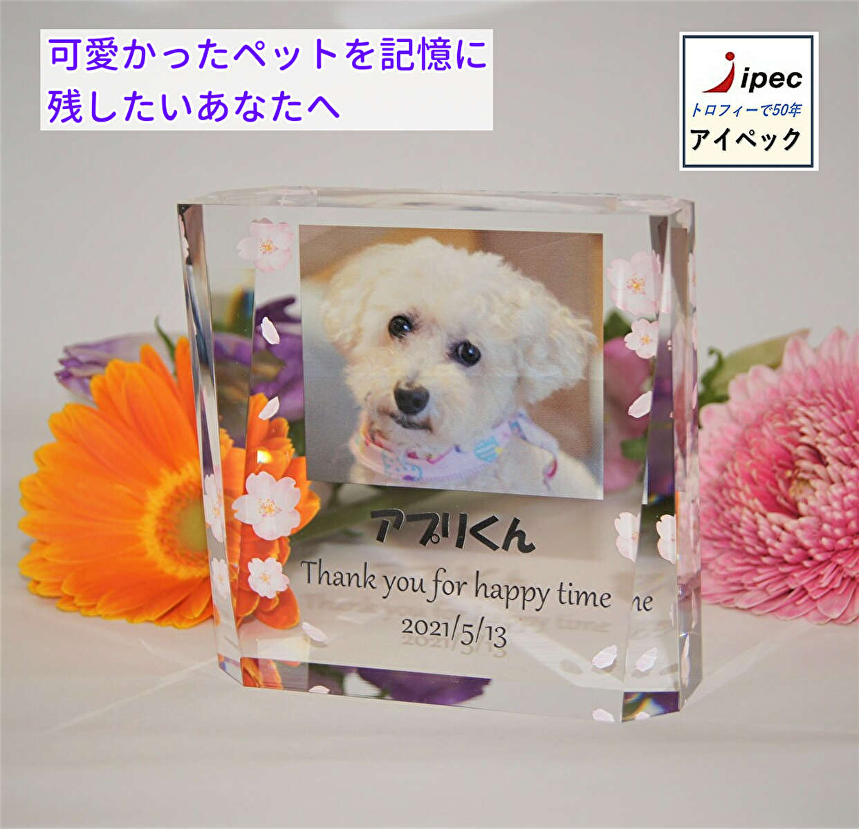 記念品　VOT410-C-PRM　Cサイズ　ペット 記念品 高さ10cm