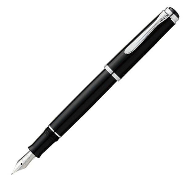 お取り寄せ 筆 伽藍鳥（Pelikan） 古典派音楽 P205 黒いこと