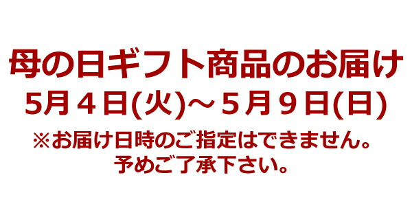 超目玉 楽天市場 母の日 プレゼント ギフト プリーツ サブバッグ 黒 ポーチ付 レディース バック 小物入れ メッセージカード付 21 年 人気 プレゼント ランキング おすすめ 母 妻 祖母 義母 姑 60代 70代 80代 お母さん 通販 実用的 Gift Mother S Day