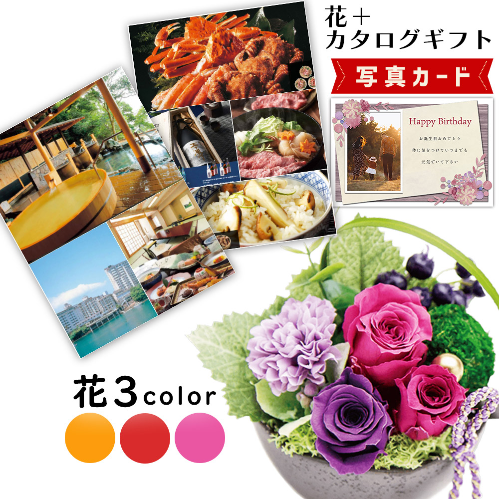 差し上げ物無料客あしらい！熨斗、ラッピング、一風変わった活動写真付き添い人申したて歌留多も無料
