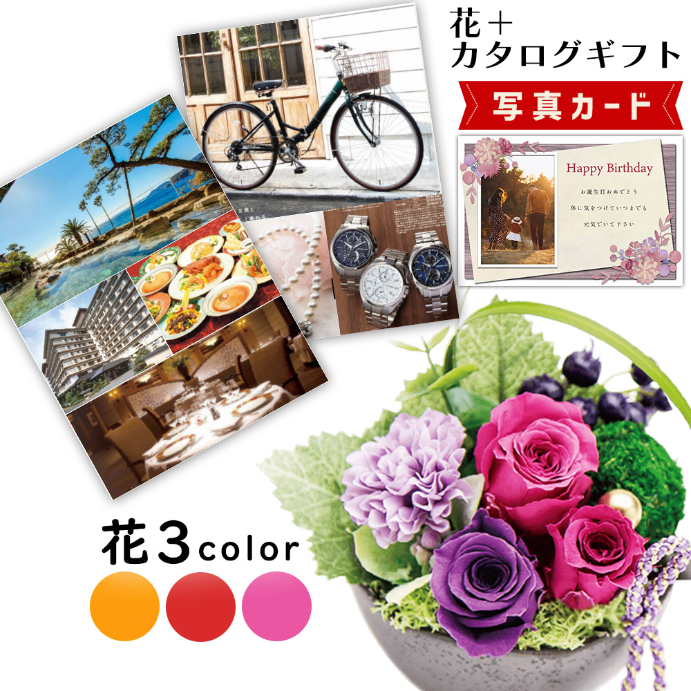 差し上げ物無料客あしらい！熨斗、ラッピング、一風変わった活動写真付き添い人申したて歌留多も無料