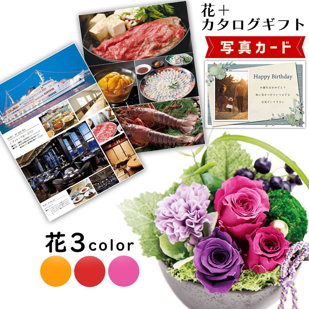 差し上げ物無料お持て成し！熨斗、ラッピング、事あたらしい活動写真付き添い人申し立て歌留多も無料