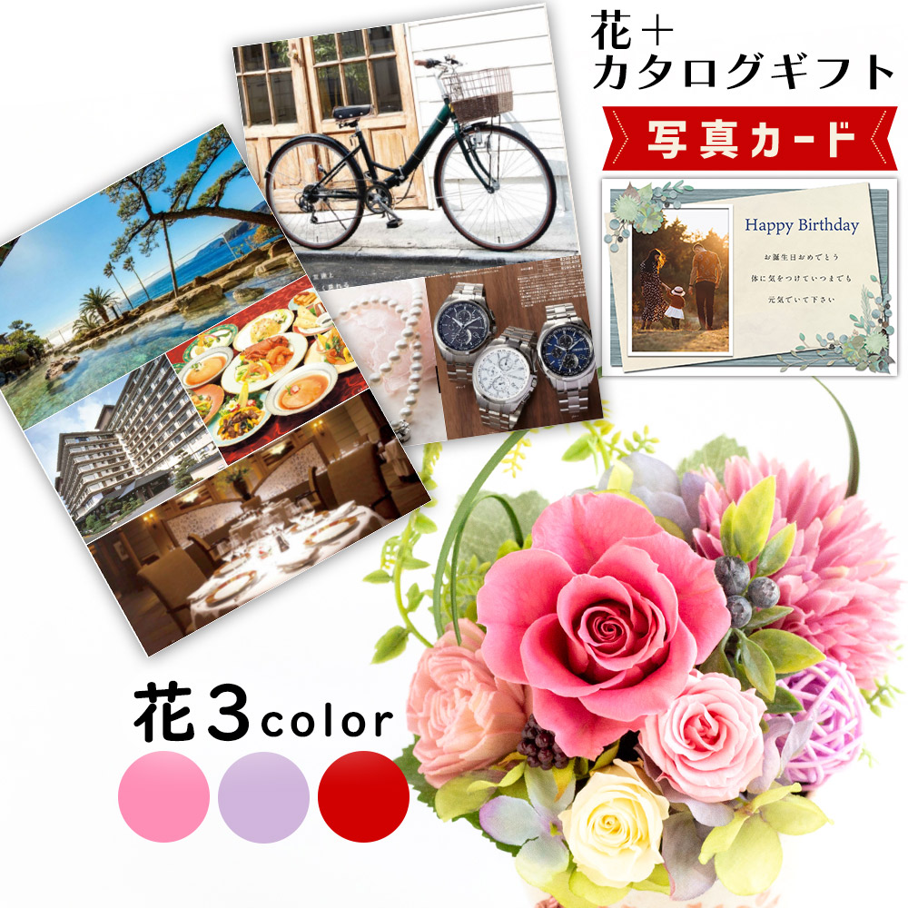 差し上げ物無料客あしらい！熨斗、ラッピング、一風変わった活動写真付き添い人申したて歌留多も無料