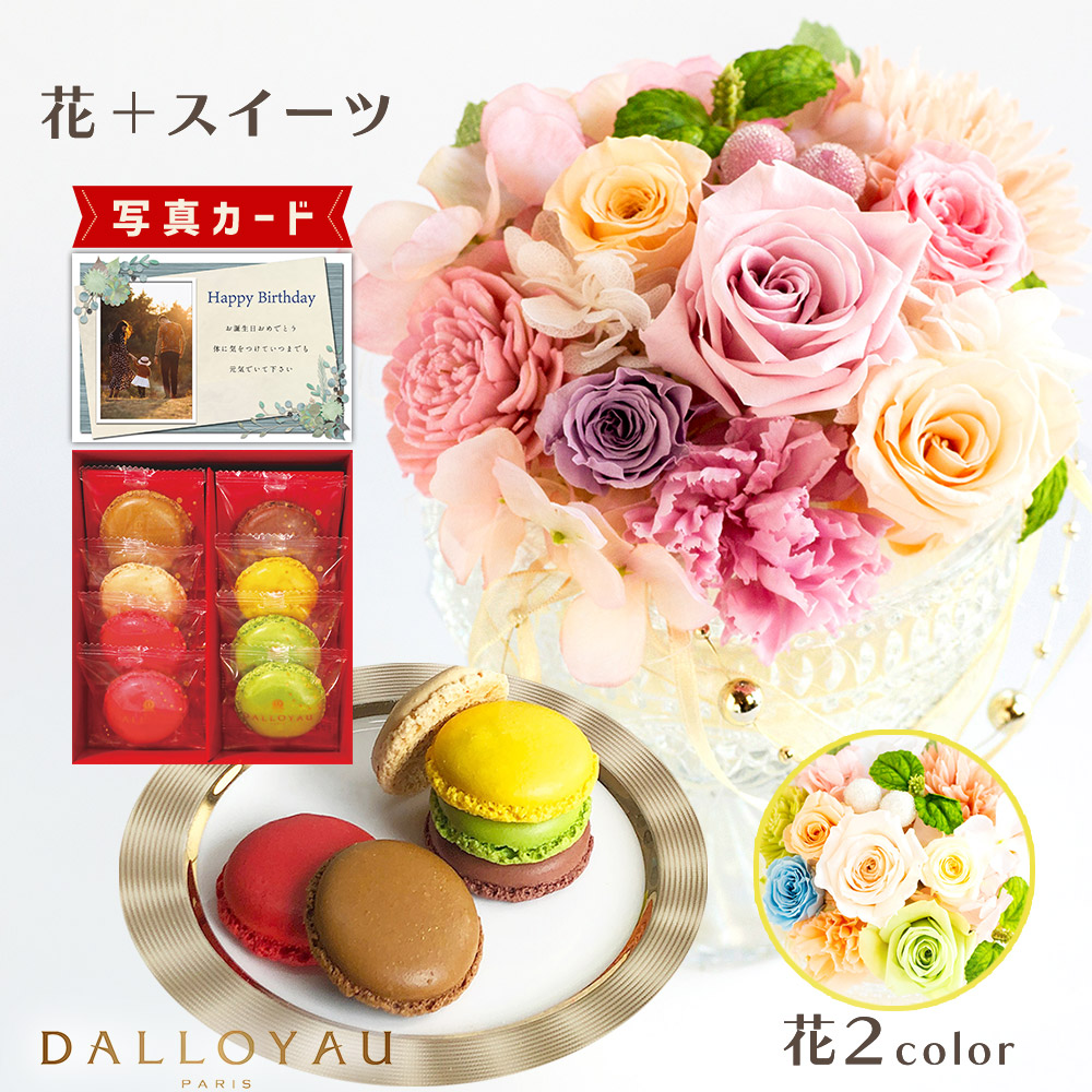ベル 花 ピンク パステル ダロワイヨ プリザーブドフラワー マカロン おしゃれ 洋菓子 プリザーブドフラワー プレゼント お祝い 結婚祝い 誕生日プレゼント Db B2 退職祝い 開店祝い 母 新築祝い 枯れない花 お見舞い おしゃれ 花 贈り物 円 定年 女友達