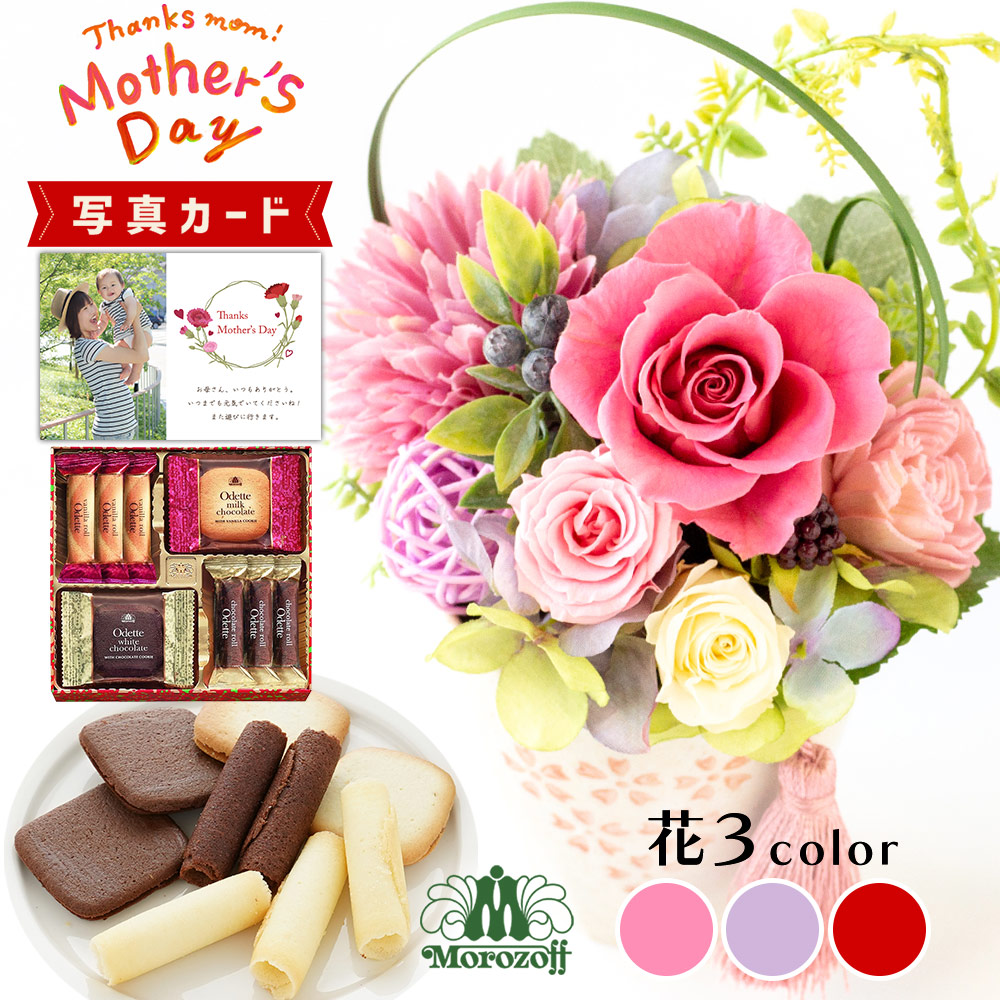 【マラソン10%OFF】花とお菓子 舞桜 3色 モロゾフ 焼き菓子 洋菓子 プリザーブドフラワー プレゼント お祝い 結婚祝い 誕生日プレゼント 母親 (DB) [b2] 定年 退職祝い 開店祝い お見舞い 枯れない花 フラワーギフト おしゃれ 花 7000円 即日発送 1dy 送料無料 初節句