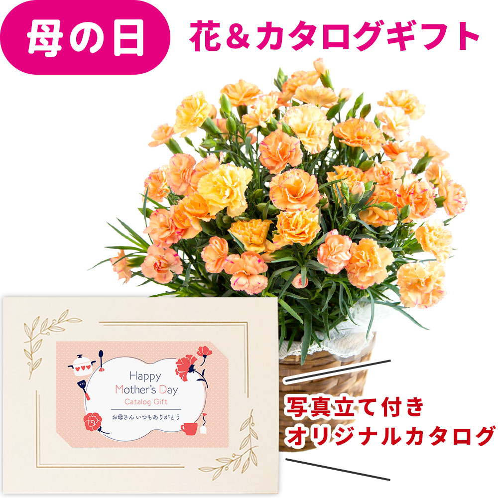 母の日 早割 プレゼント 花とカタログ 2026 カーネーション 鉢花 5号 オレンジ 花 カタログギフト カードタイプ 8000円 1万円以下 セット オリジナル 写真 メッセージ カードギフト お菓子 選べる おWEBカタログ デジタル 母親 祖父母 義母 送料無料 jo-bo-a (HSE) [ak]