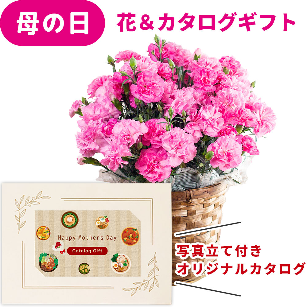 母の日 早割 プレゼント 花とカタログ 2026 カーネーション 鉢花 5号 ピンク 花 カタログギフト カードタイプ 10000円 コース セット オリジナル 写真 メッセージ カードギフト お菓子 選べる おWEBカタログ デジタル 母親 祖父母 義母 お礼 送料無料 jo-ce-c (HSE) [ak]