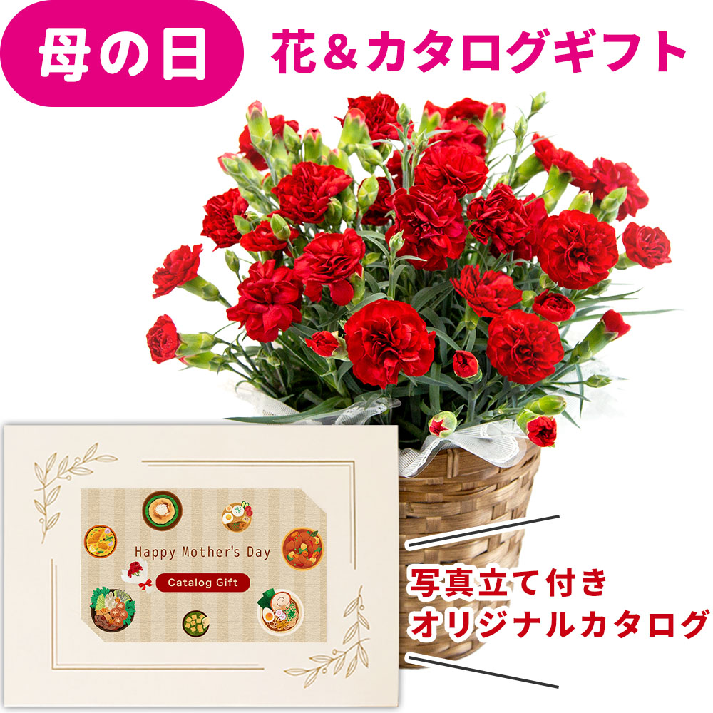 母の日 早割 プレゼント 花とカタログ 2026 カーネーション レッド 鉢花 5号 花 カタログギフト カードタイプ 10000円 コース セット オリジナル 写真 メッセージ カードギフト お菓子 選べる おWEBカタログ デジタル 母親 祖父母 義母 お礼 送料無料 jo-ce-c (HSE) [ak]