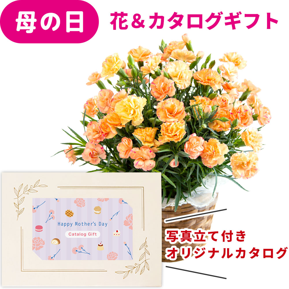 花とカタログ 母の日 プレゼント カーネーション 鉢花 5号 オレンジ 花 カタログギフト カードタイプ 10000円 コース セット オリジナル 写真 メッセージ カードギフト お菓子 選べる お花とカタログ WEBカタログ 母親 祖父母 義母 送料無料 jo-ce-d (HSE) [ak]