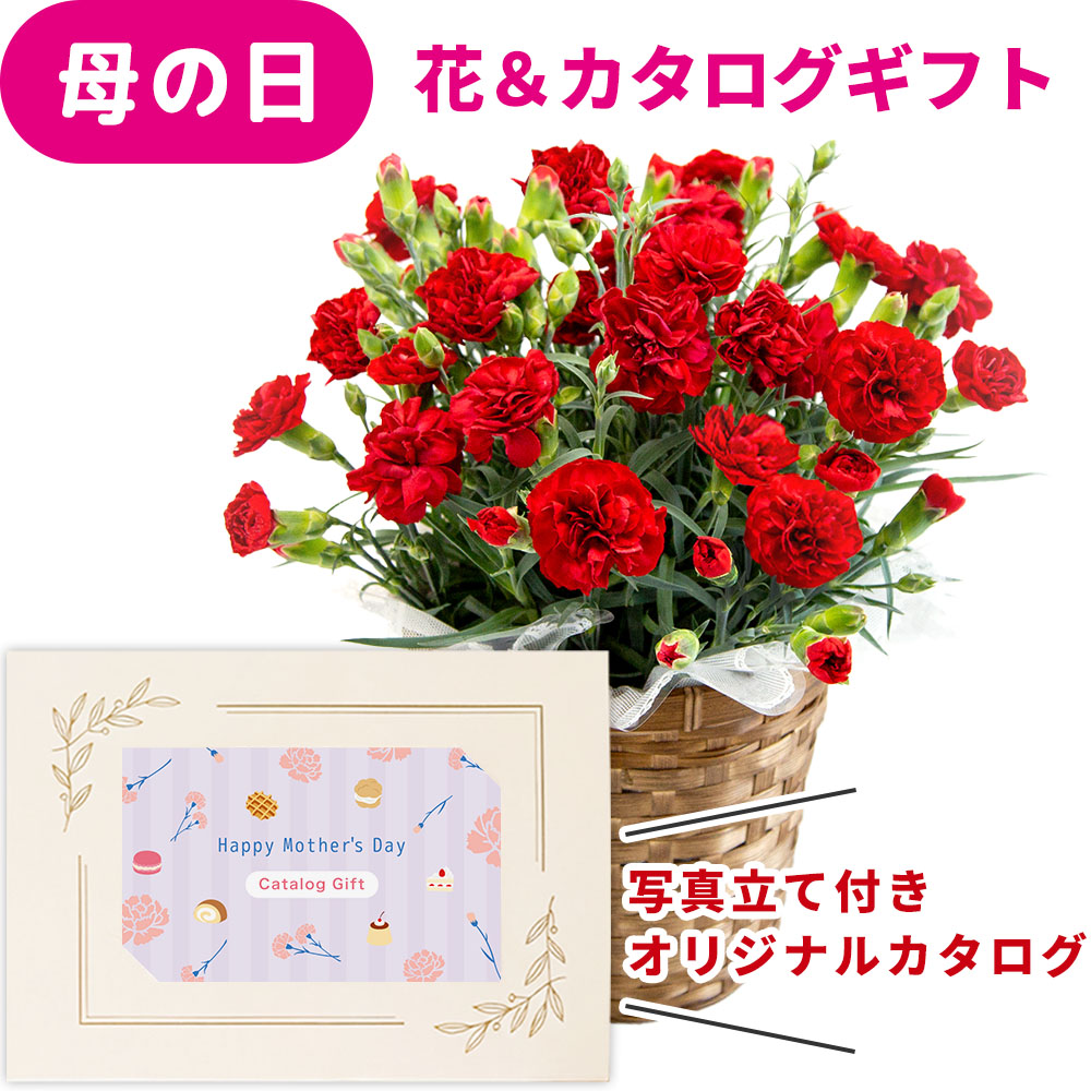 母の日 早割 プレゼント 花とカタログ 2026 カーネーション レッド 鉢花 5号 花 カタログギフト カードタイプ 10000円 コース セット オリジナル 写真 メッセージ カードギフト お菓子 選べる おWEBカタログ デジタル 母親 祖父母 義母 お礼 送料無料 jo-ce-d (HSE) [ak]