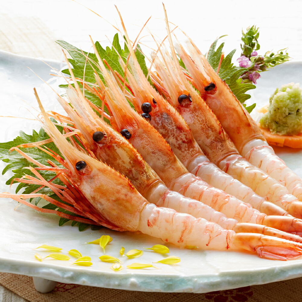 お歳暮 ギフト 北海道産 ぼたん海老 B 海鮮 グルメ 魚介 贈り物 御歳暮 お年賀 お礼 お見舞い 寒中見舞い 人気 ランキング 出産内祝い 出産 結婚 七五三 内祝い お祝い お返し 早割り 両親 女性 実家 5000円 おしゃれ Winter Gift Present