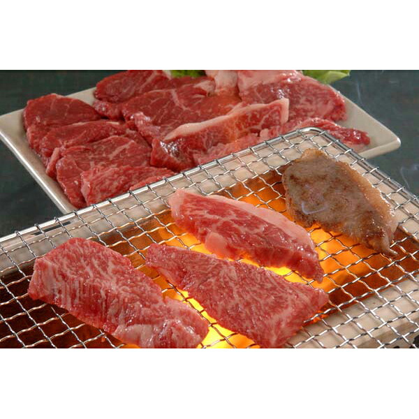内祝い お返し 出産 メッセージカード 無料 東京 人形町 日山 山形牛 バラ 焼肉用 和牛 560ｇ 名店 贈り物 出産祝い お礼 結婚 入学 新築 快気 祝い 香典返し お祝い返し 送料無料 13000円 夏ギフト お中元 入学祝い [袋N] (SK)軽｜ギフト＆内祝いのアイプレゼンツ