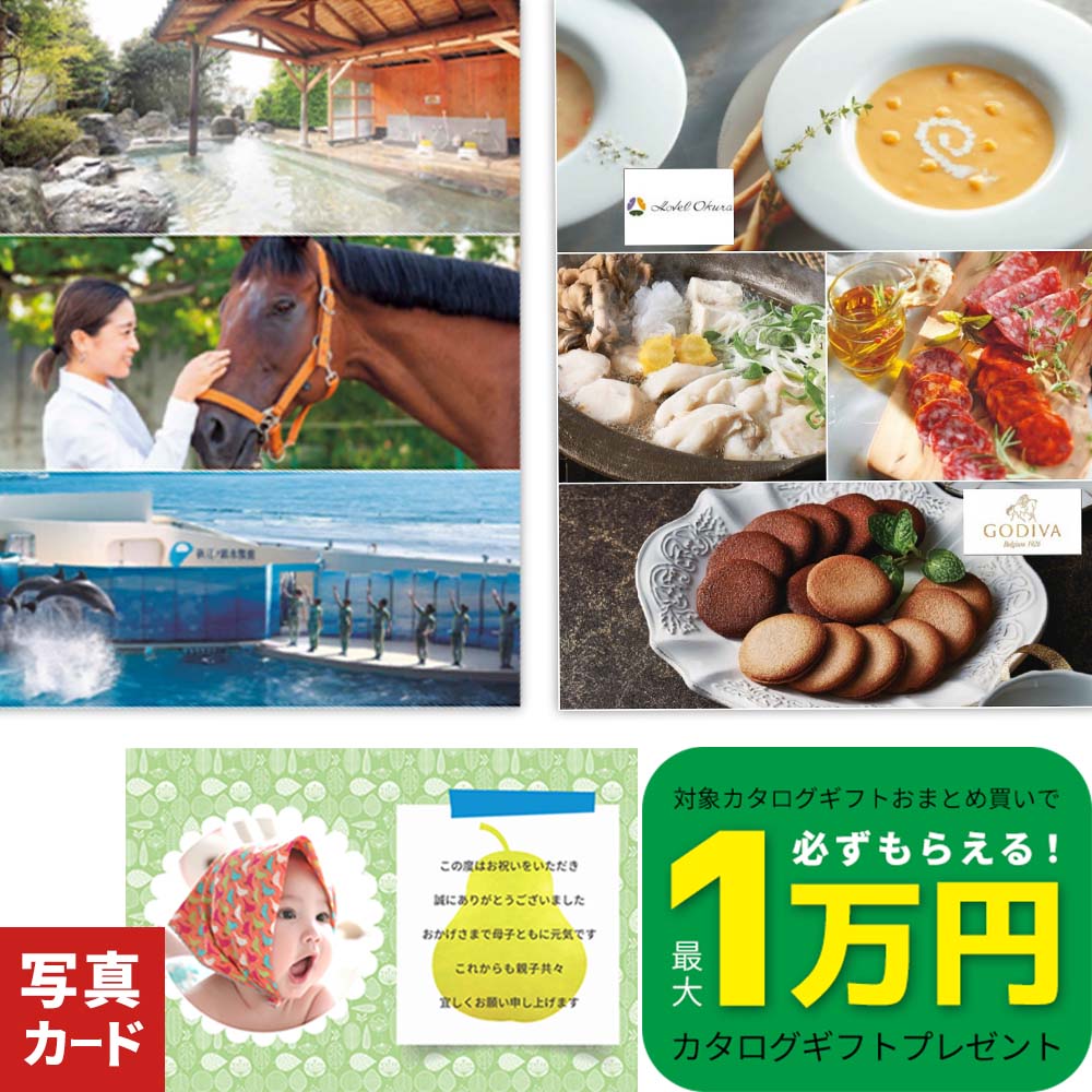 新品未使用 有効期限9月末頃 カタログ 内祝い プレゼント ギフト 中元 夏 新品未使用 有効期限9月末頃 カタログ 内祝い プレゼント ギフト