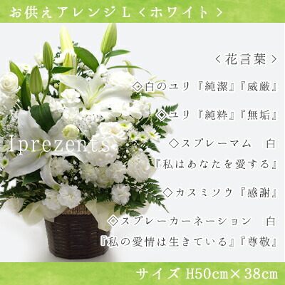 人気沸騰ブラドン 花 白 L アレンジメント カゴ付き と 和菓子 河内駿河 羊羹 ようかん 詰合せ ギフト セット 御供 お供え物 供花 お彼岸 枕花 飾り 初盆 新盆 法事 仏事 弔事 命日 月命日 一周忌 三周忌 初七日 四十九日 法要 人気沸騰ブラドン 花 白 L アレンジメント カゴ付き と 和菓子 河内駿河 羊羹 ようかん 詰合せ ギフト セット 御供 お供え物 供花 お彼岸 枕花 飾り 初盆 新盆 法事 仏事 弔事 命日 月命日 一周忌 三周忌 初七日 四十九日 法要
