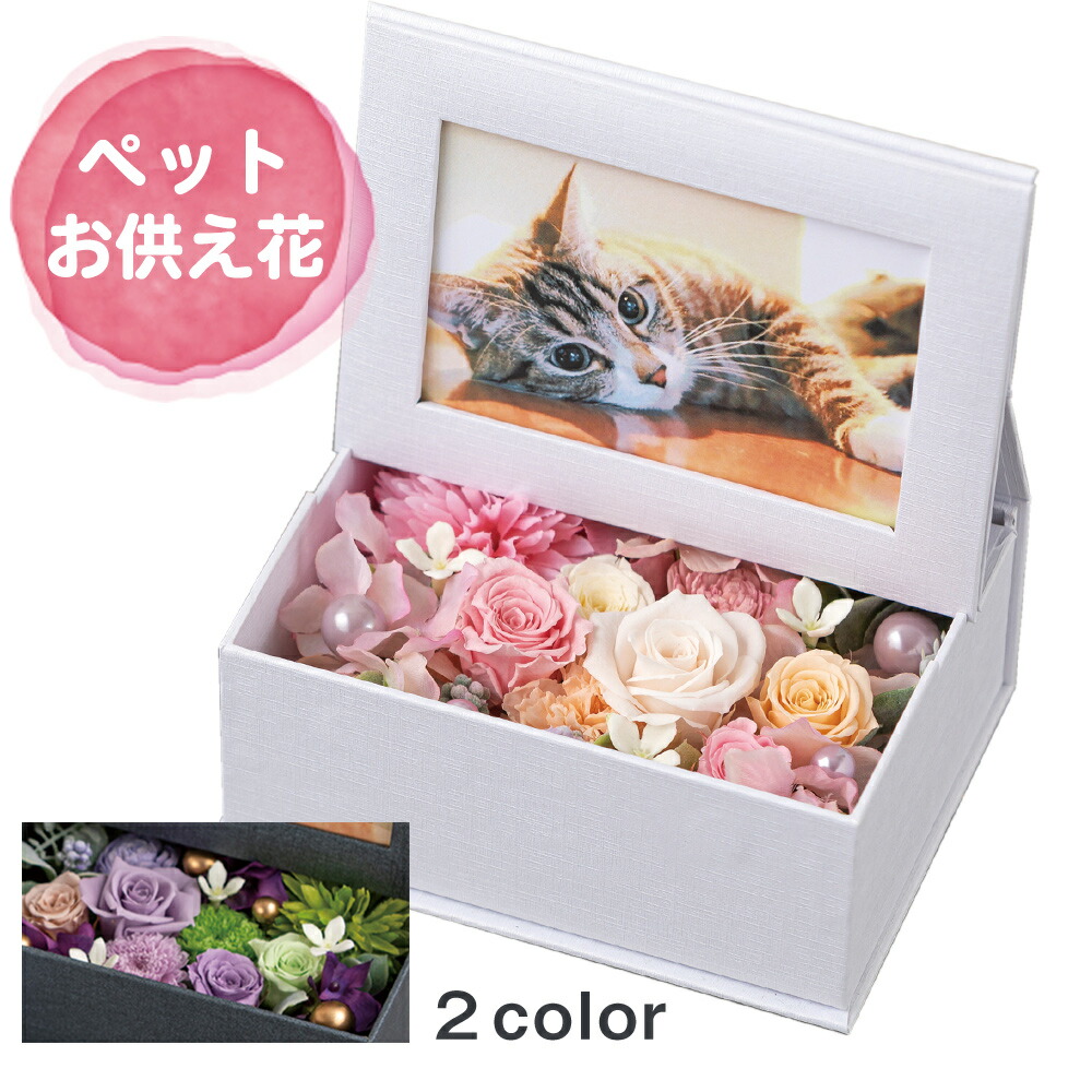 プリザーブド フォトボックス ピンク 紫 花 プリザーブドフラワー ペット用 お供え 供花 仏壇 御供 一周忌 ペット御供 ペットお供え花 枕花 御供え物 お供え物 猫 犬 フューネラル 仏事 仏花 (DB) [仏] [花] 喪中見舞 年賀欠礼 喪中はがき ギフト 1dy 初節句 入学 入園
