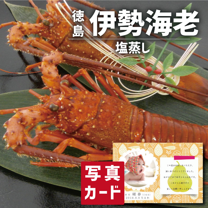 入学内祝い 徳島 伊勢海老の塩蒸し グルメ 海鮮 食べ物 新築内祝い 両親 職場 半返し ママ友 女友達 品物 快気祝い 快気内祝い お見舞い お返し お礼 還暦 10000円 内祝い 退職 香典返し 退院祝い 自分へのご褒美 初節句 誕生日 退職祝い 母親 (SK)軽 母の日