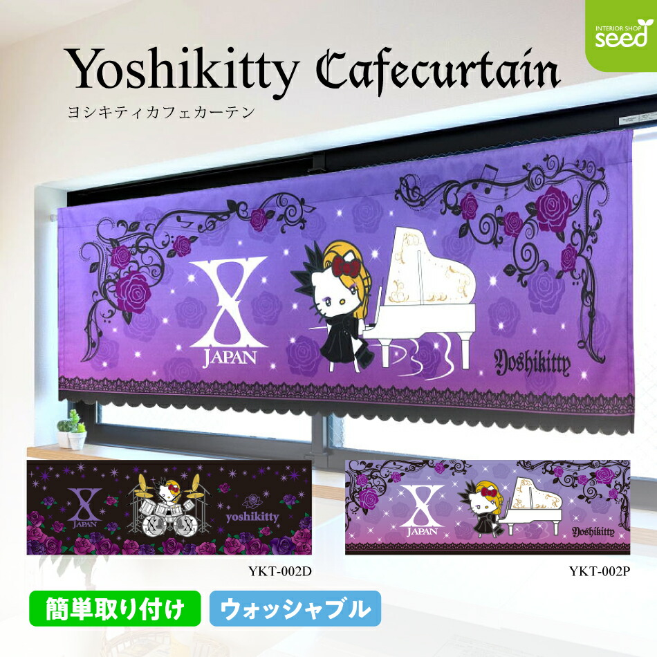 X JAPAN YOSHIKI yoshikitty 2019 10th A4 clear file set of 2