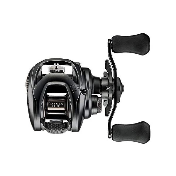 DAIWA TATULA ベイトリール ダイワ ベイトリール 25タトゥーラ TW 200XH(右)(200XH): リール