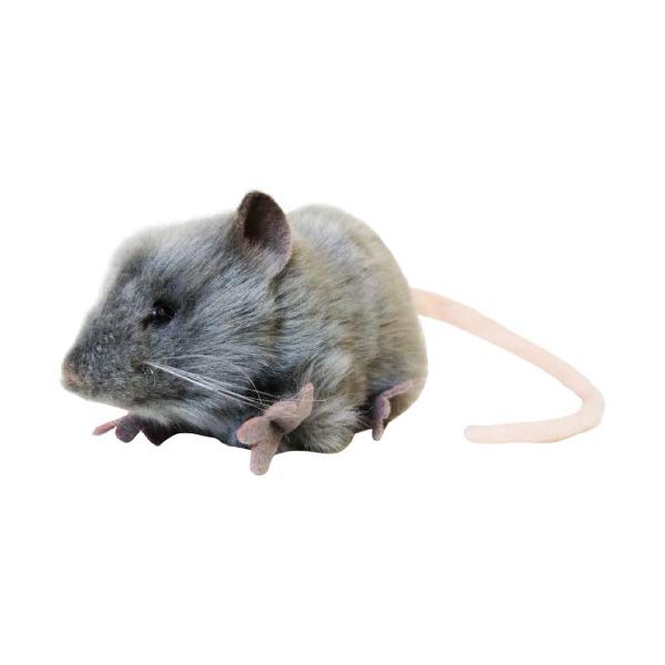 hansa mouse