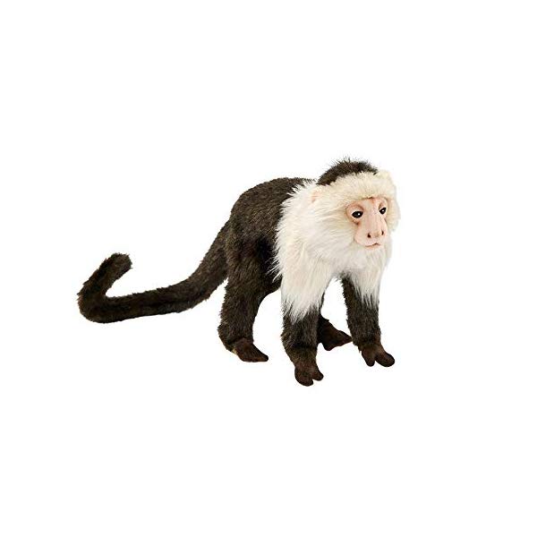 ハンサ オマキザル サル 猿 ぬいぐるみ Hansa Capuchin Monkey Plush｜i-selection