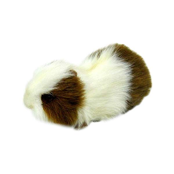 guinea pig plush