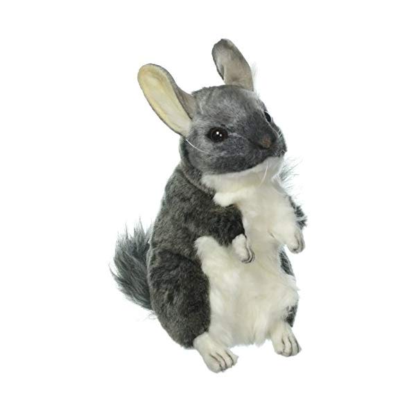 楽天市場 ハンサ チンチラ ぬいぐるみ Hansa Chauncey Chinchilla Plush I Selection