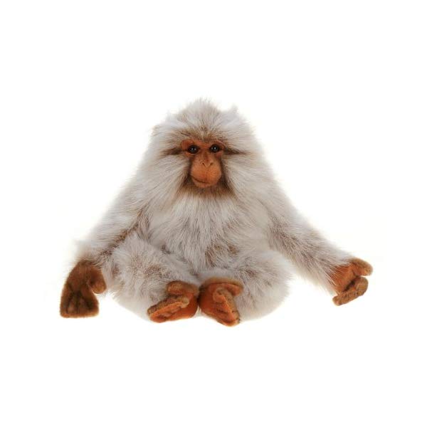 楽天市場】ぬいぐるみ さる ティリー ザ モンキー 白毛 GUND ガンド