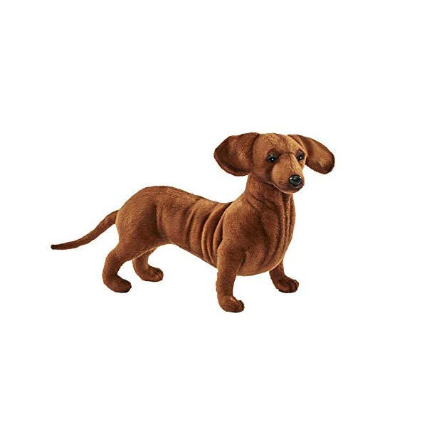 dachshund plush