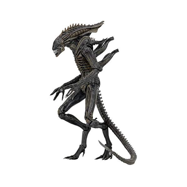 エイリアンフィギュア メタル製 約30cm 楽天市場】【1/4スケール NECA BIGSIZE】エイリアン 40周年記念