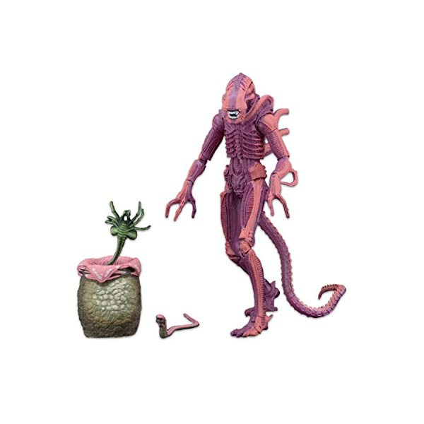 コトブキヤ　エイリアンVSプレデター　グリッドエイリアン 楽天市場】1/6 壽屋 コトブキヤ ARTFX AVP エイリアンVS