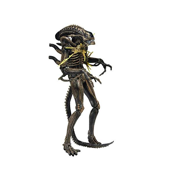 ネカ　ゼノモーフウォーリアー　2体 ネカ ゼノモーフウォーリアー 2体 Amazon.co.jp: NECA ネカ エイリアン