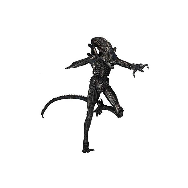 エイリアン アクション フィギュア 人形 ネカ NECA Aliens 7" Scale Action Figure Series 5 Genocide Alien Black Action Figure｜i-selection