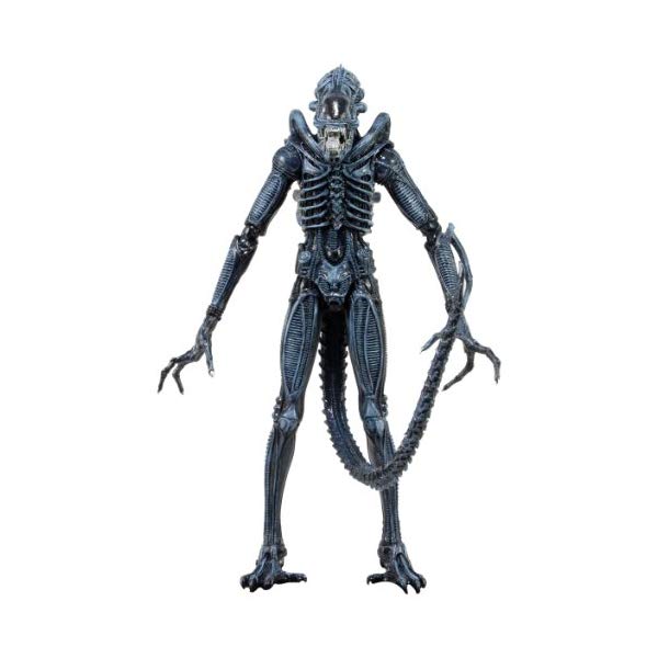 楽天市場】PLAY ARTS プレイアーツ改 エイリアン ALIENS COLONIAL