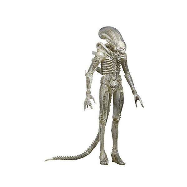 楽天市場】エイリアン アクション フィギュア 人形 ネカ NECA Alien 1
