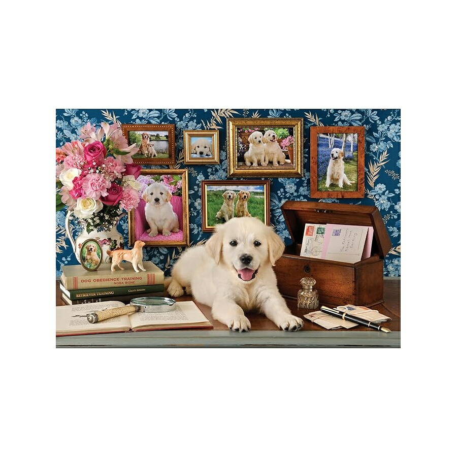 ジグソーパズル アート インテリア アナトリア ラブラドール 500ピース #3637 Anatolian Puzzle Labrador 500 Piece Puzzle #3637｜i-selection