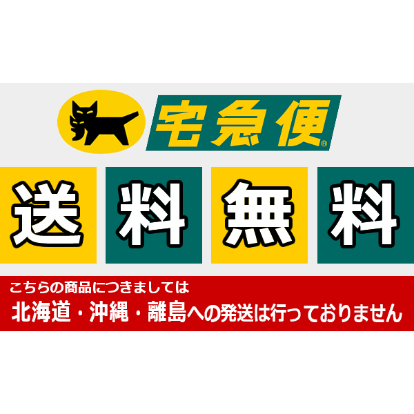 送料無料 即納 カシオ 電子辞書 EX-word ブラック XD-SX4920BK 家電