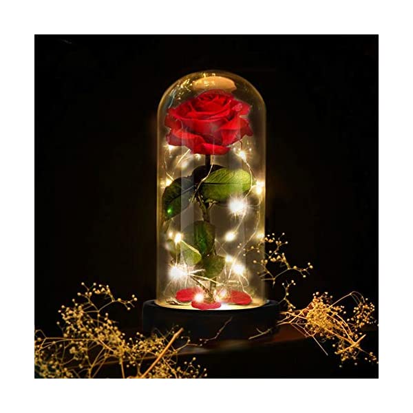 楽天市場】ローズドーム Lサイズ 美女と野獣 バラ ガラス シンデレラ