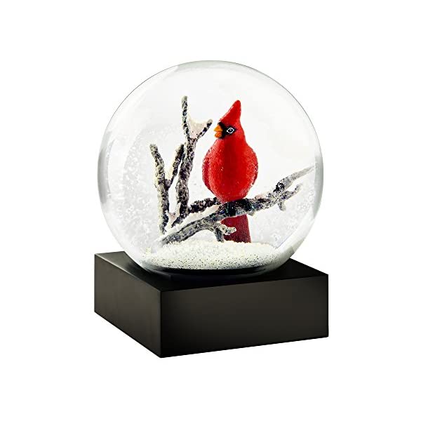 スノードーム ラブラドールレトリバー 犬 小鳥 coolsnowglobes j0024780.jpg